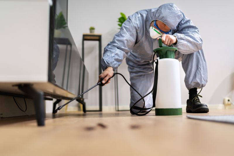 Cost of Critter Removal — Cost of Critter Removal