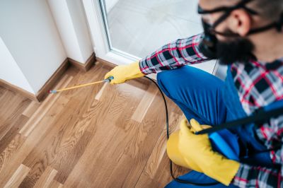 Cost of Critter Removal — Cost of Critter Removal